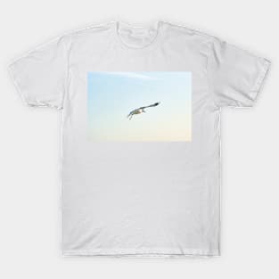 Hovering Larus Californicus T-Shirt